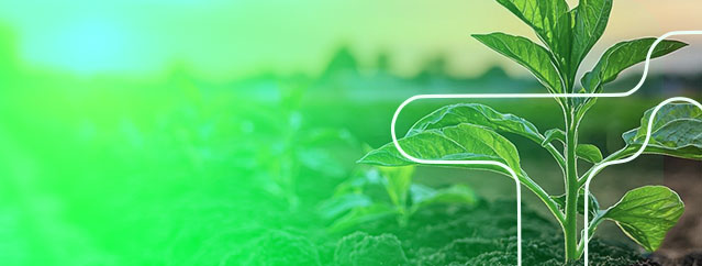 CropLife Brasil